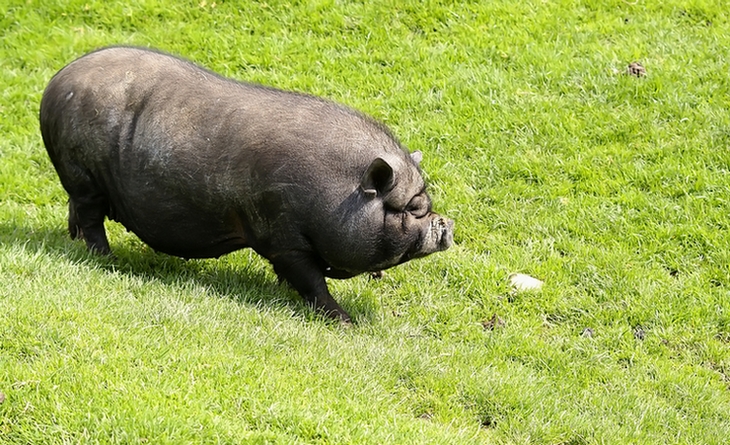 15801
