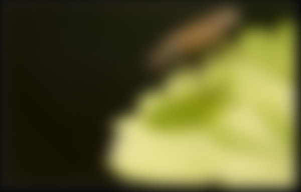 15962