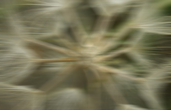 15963