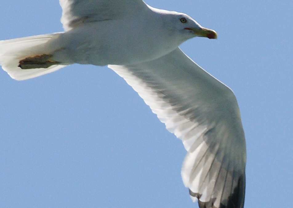 1602