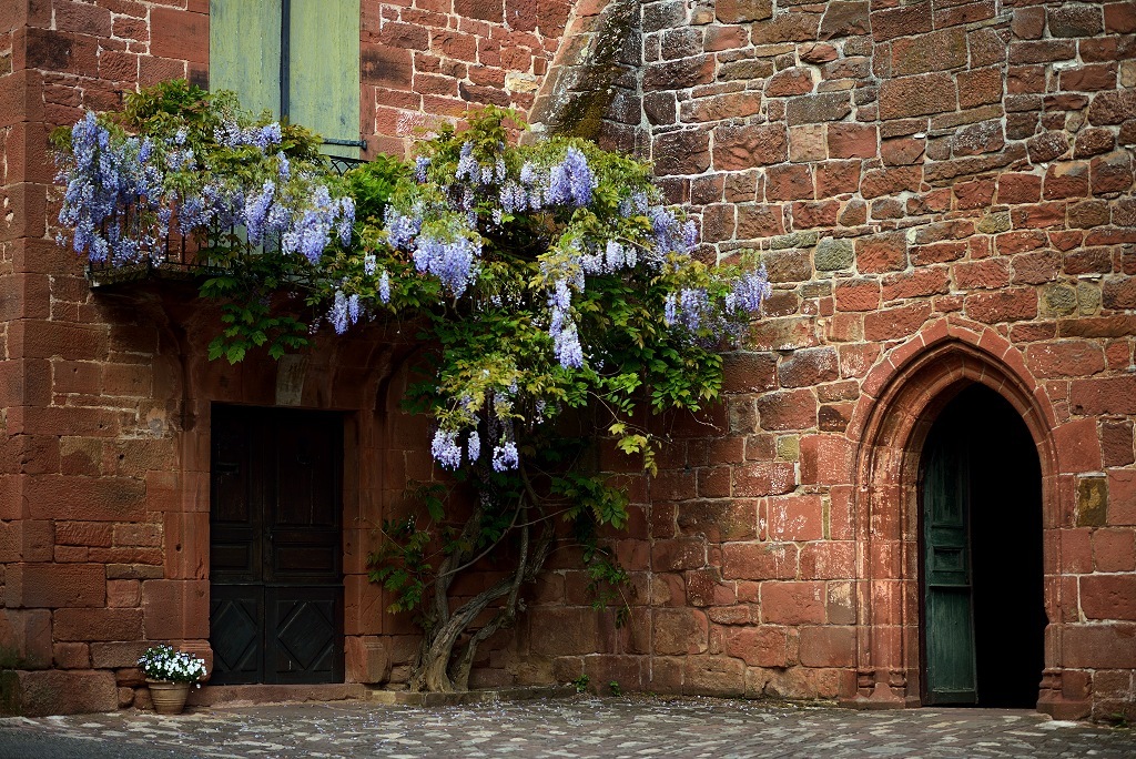 161683
