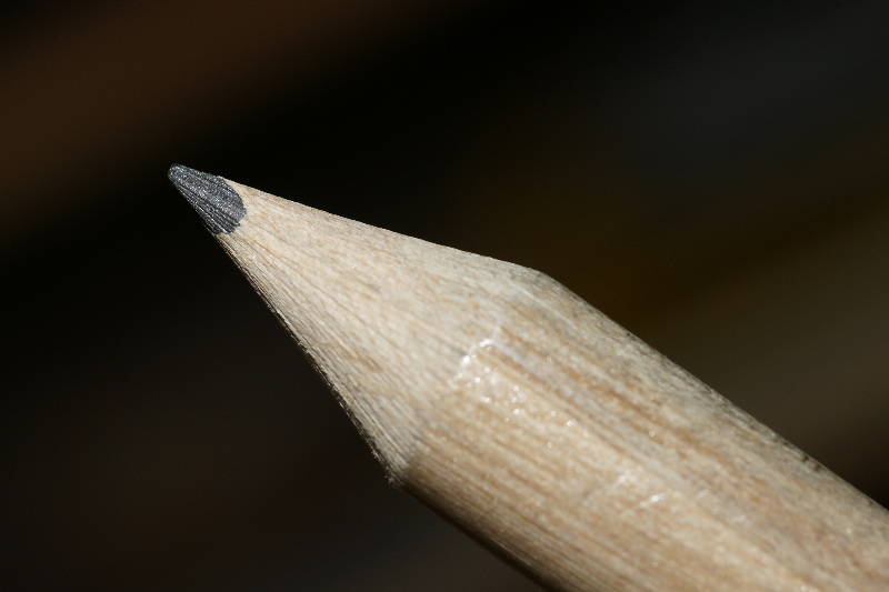 16555