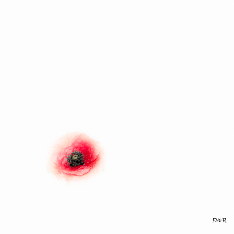 166230