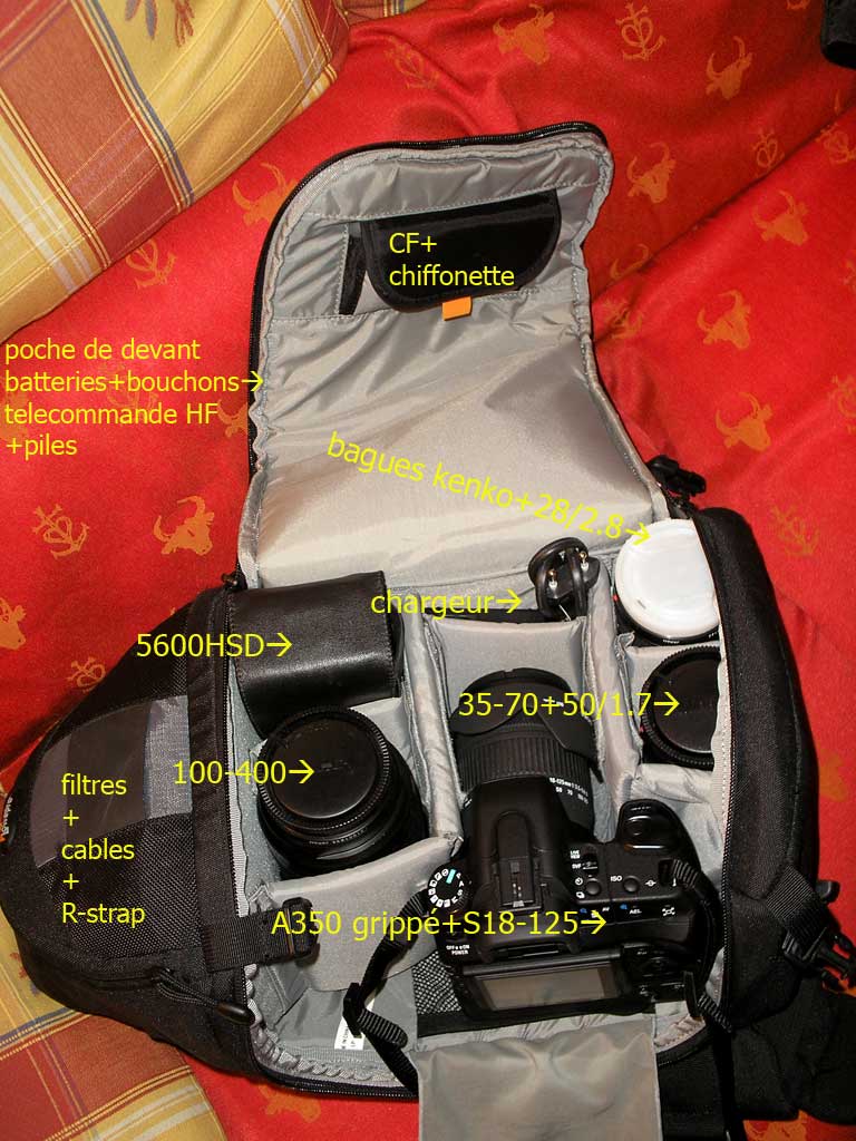 16673