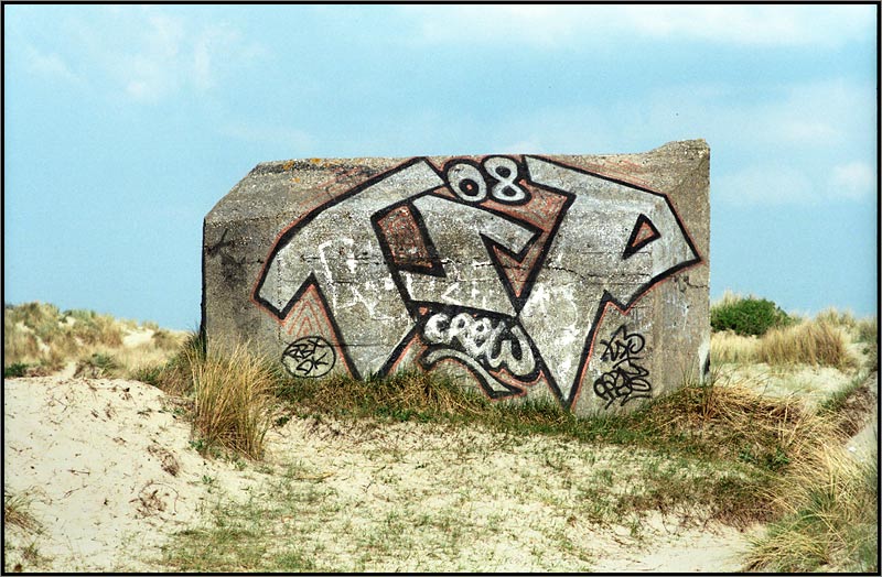 16890