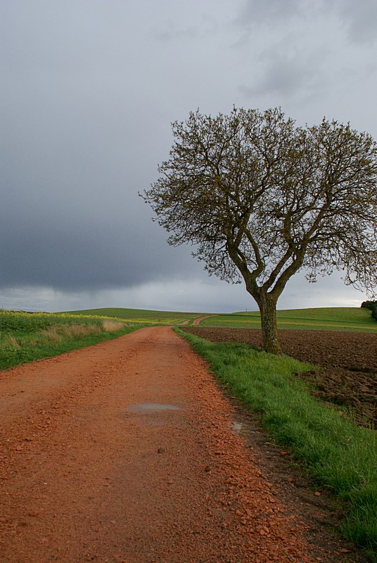 16908