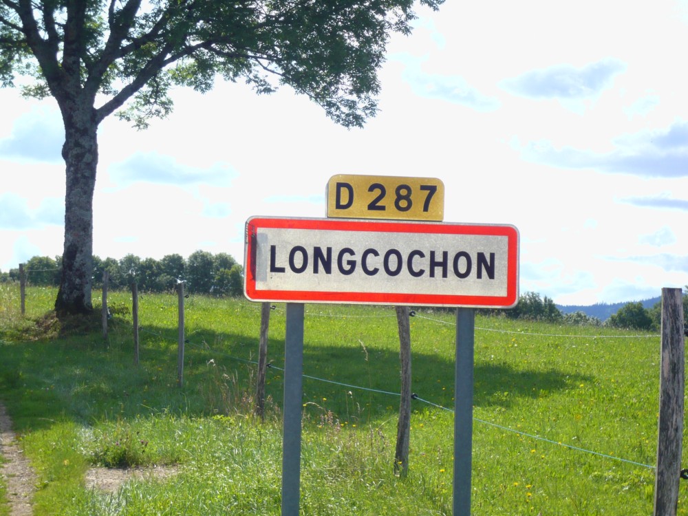 169931