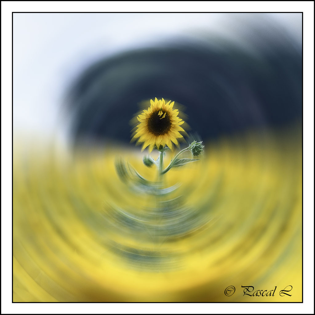 171296