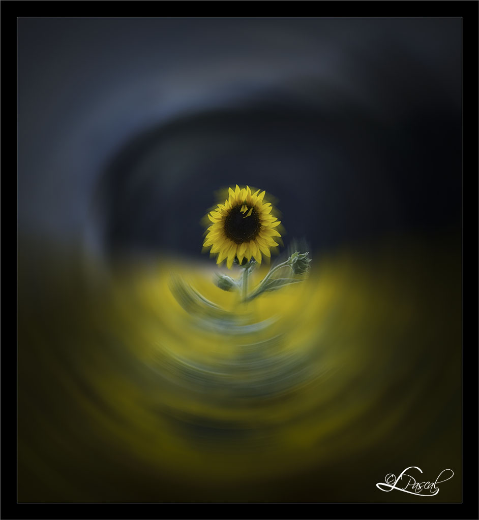 171308