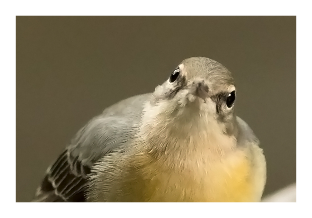 175486