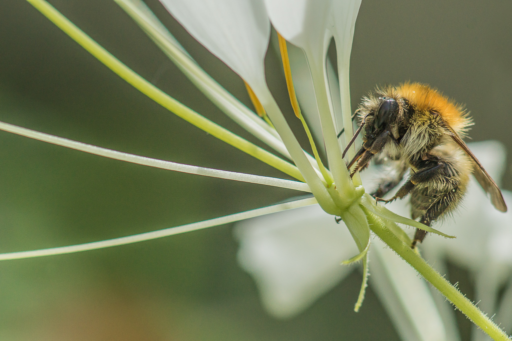 175606