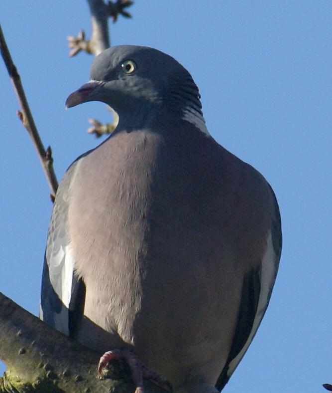 181