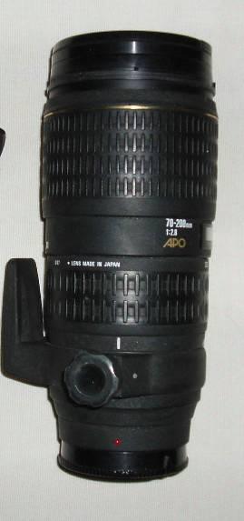 19395