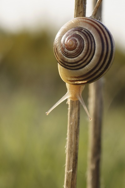 1966