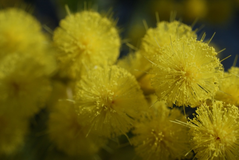 200