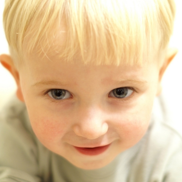 20009