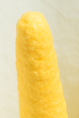 201582
