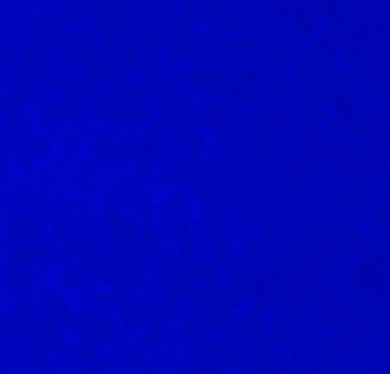 203615