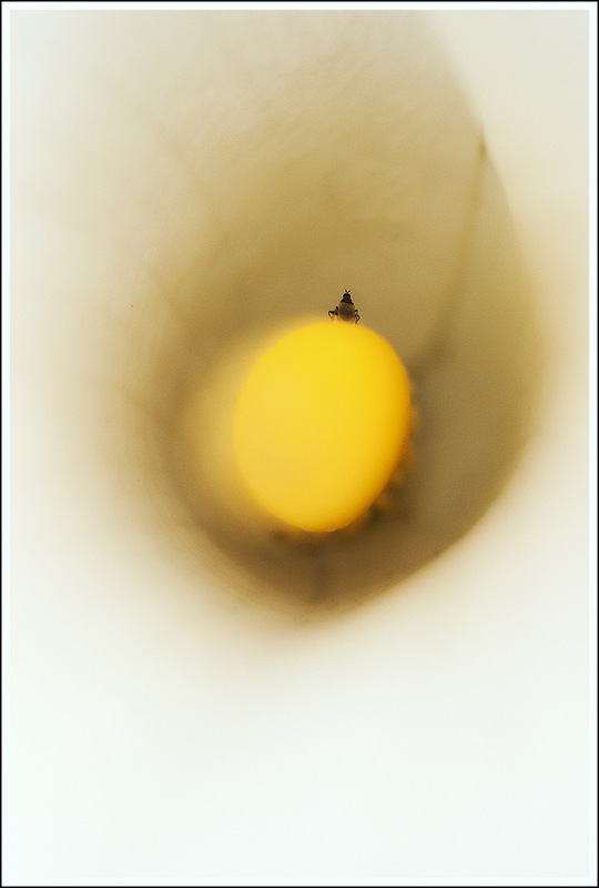 205029