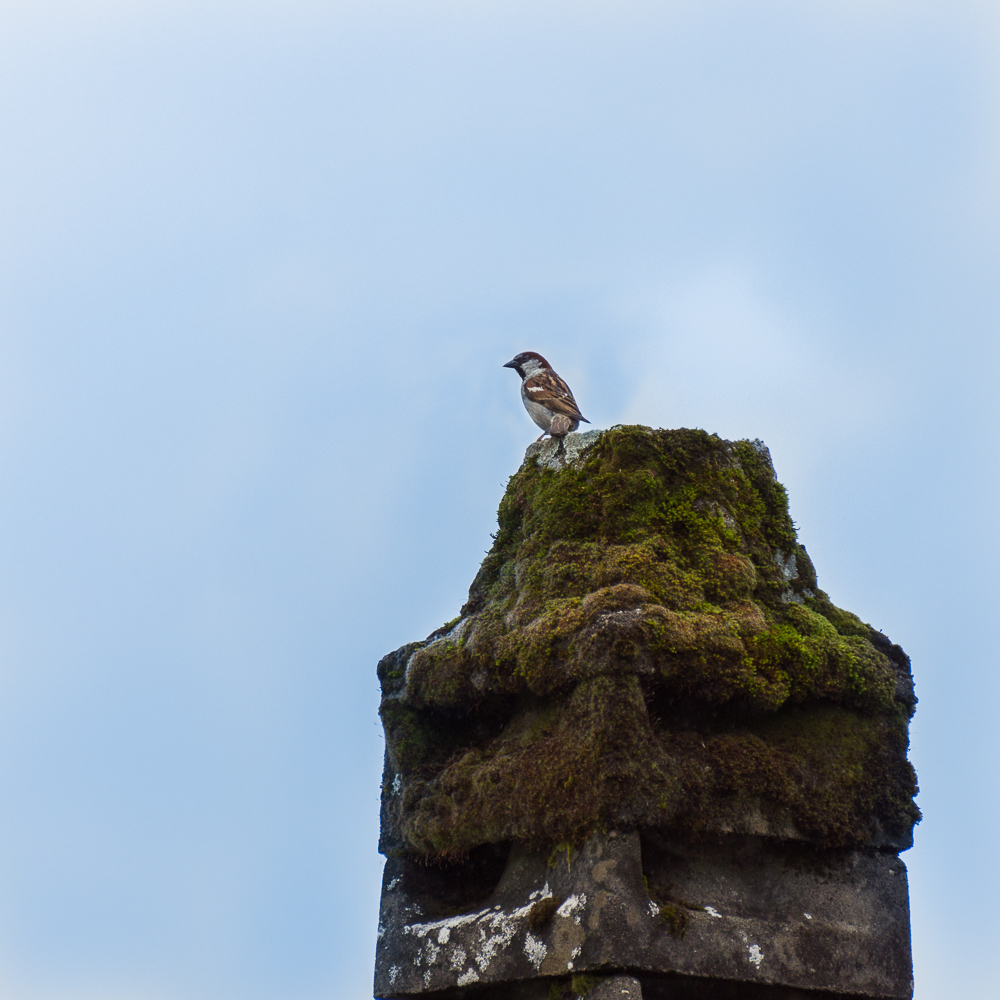210057