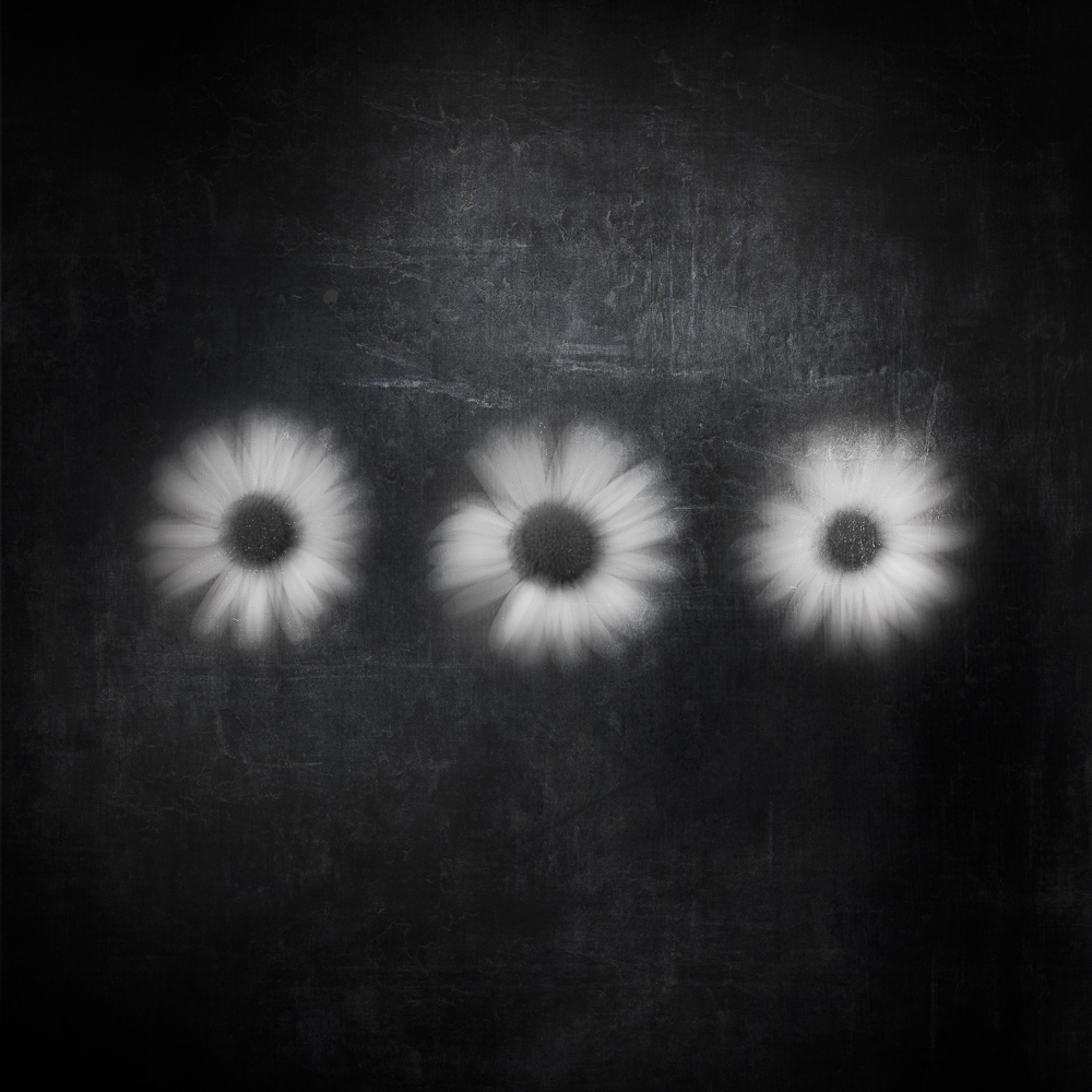 210273