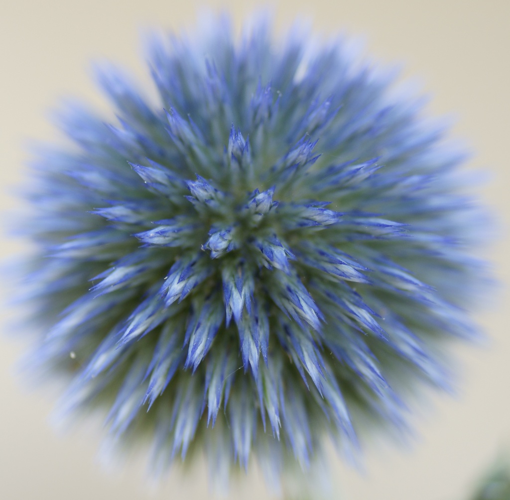21201