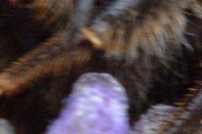 21320