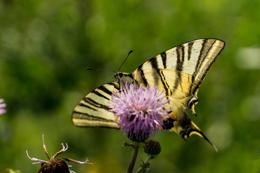 213968