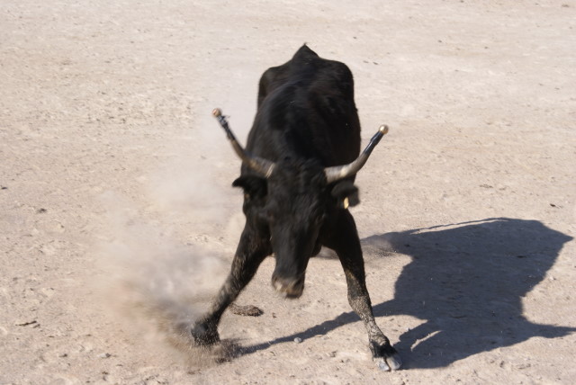 2150
