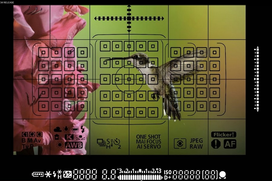 215856