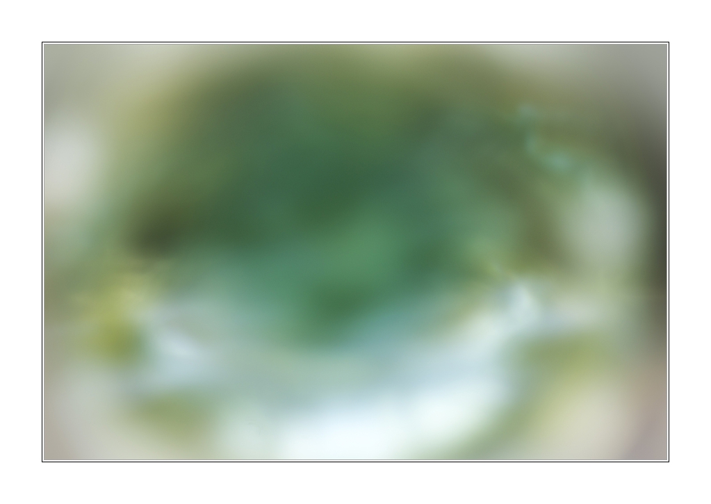 216294