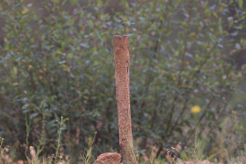 219284