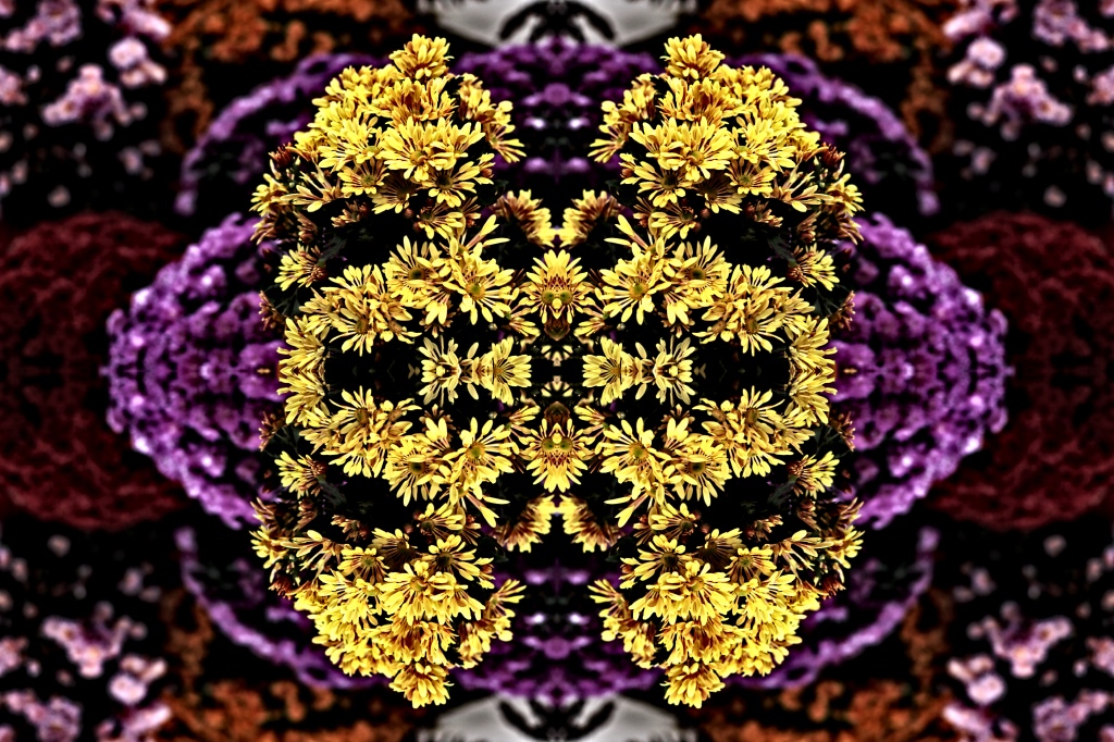 221214