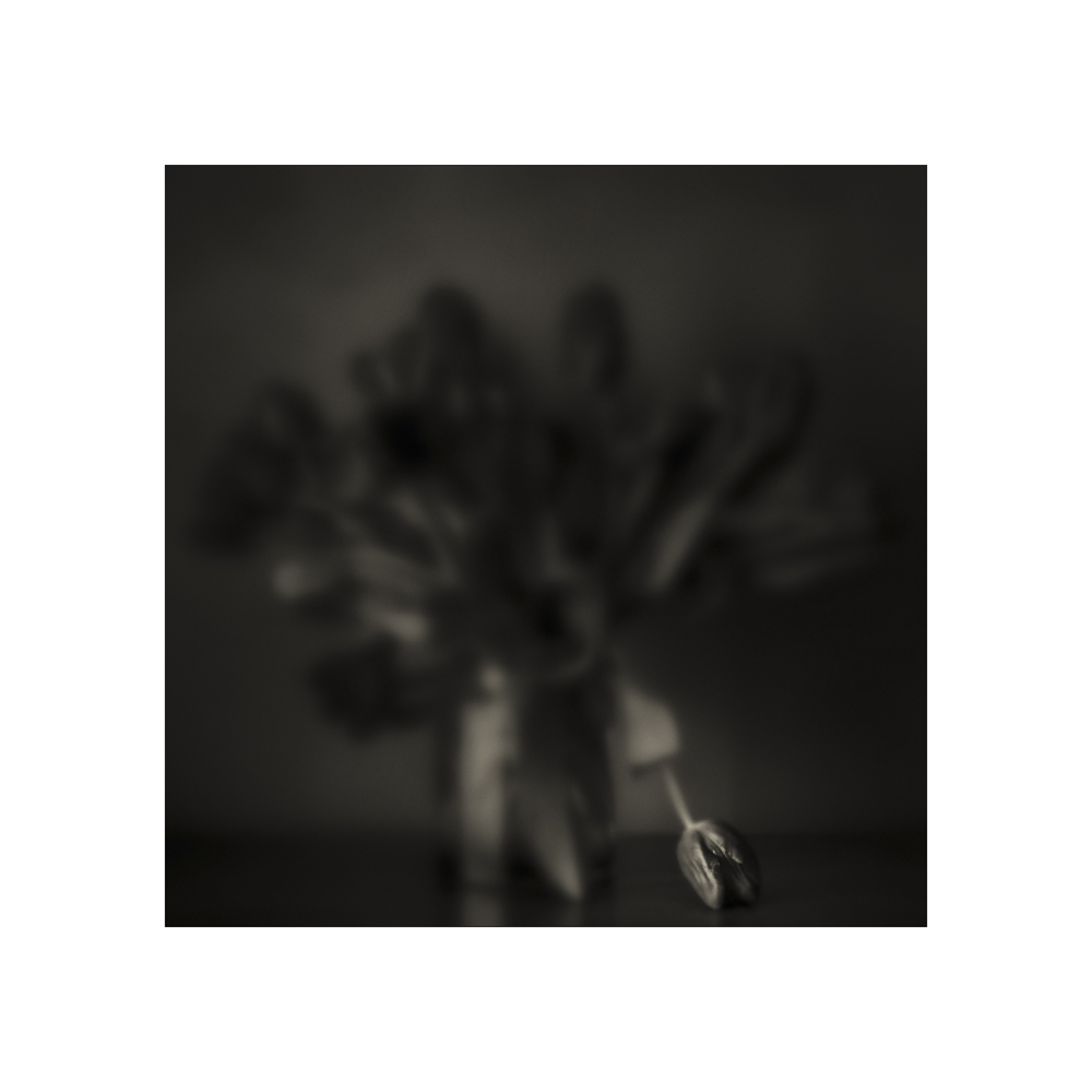 228021