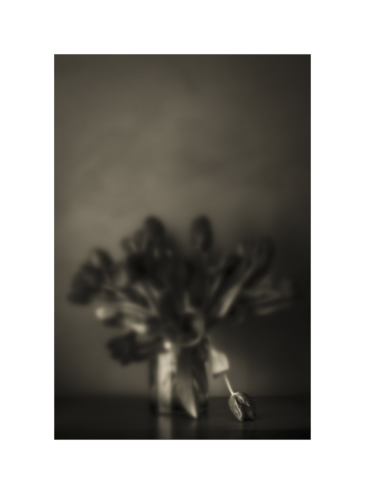 228116