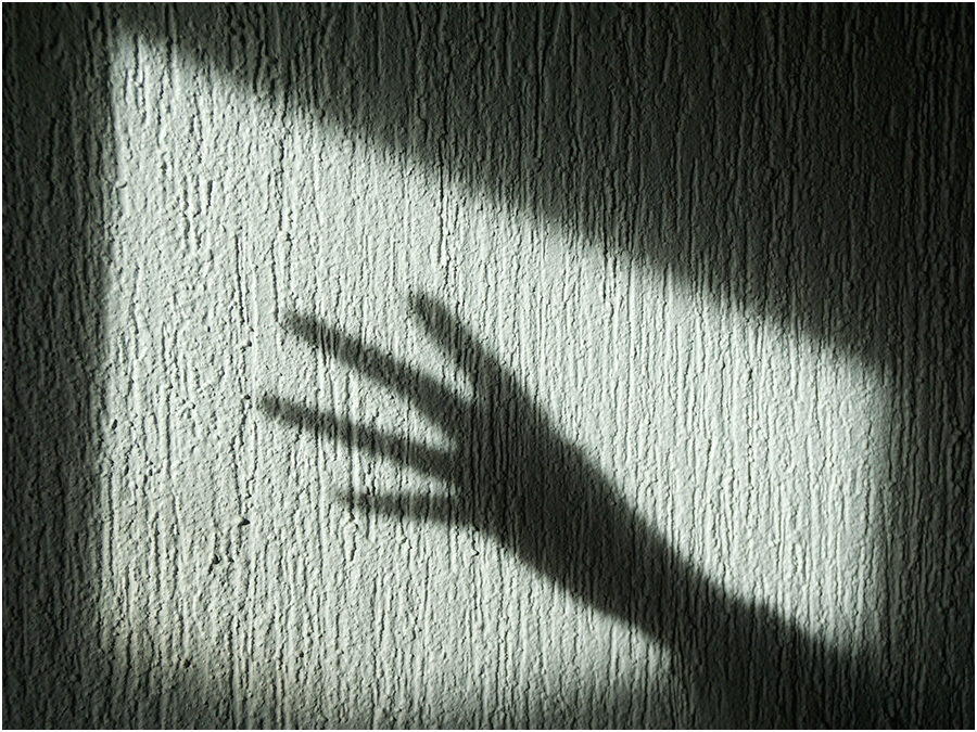 234551