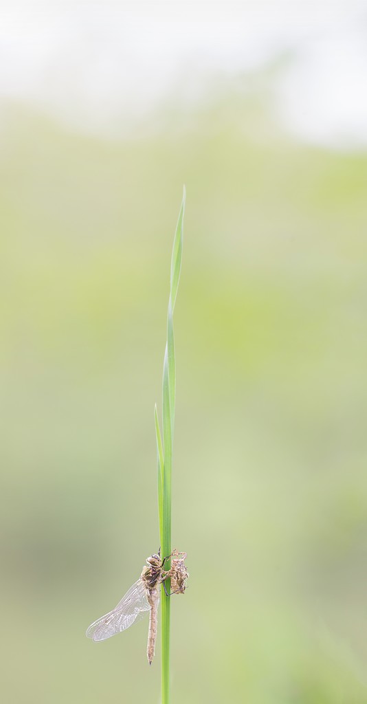 237632