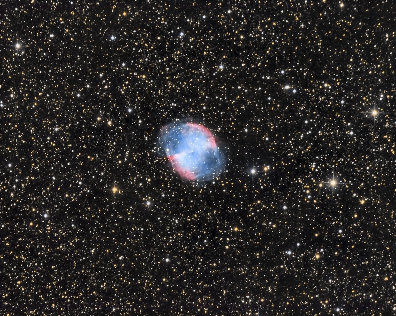 242161
