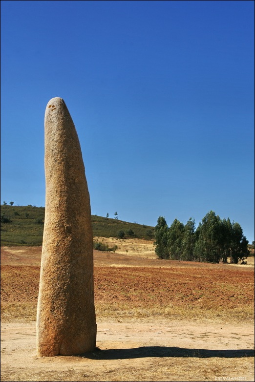 24561