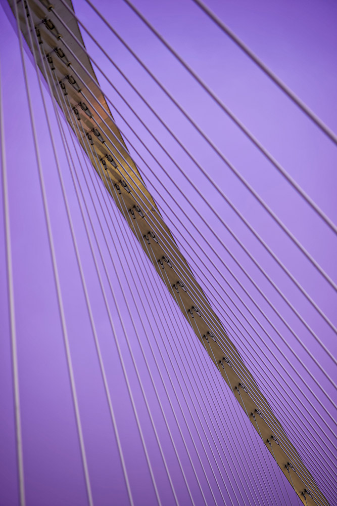 252567