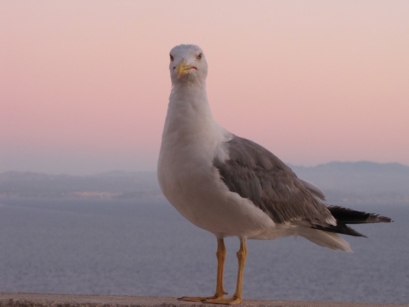 25369