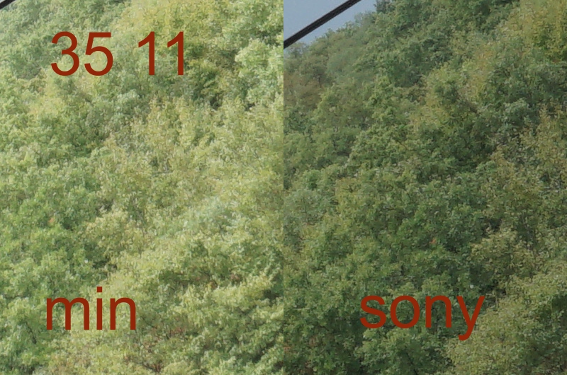 254631