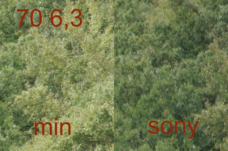 254638