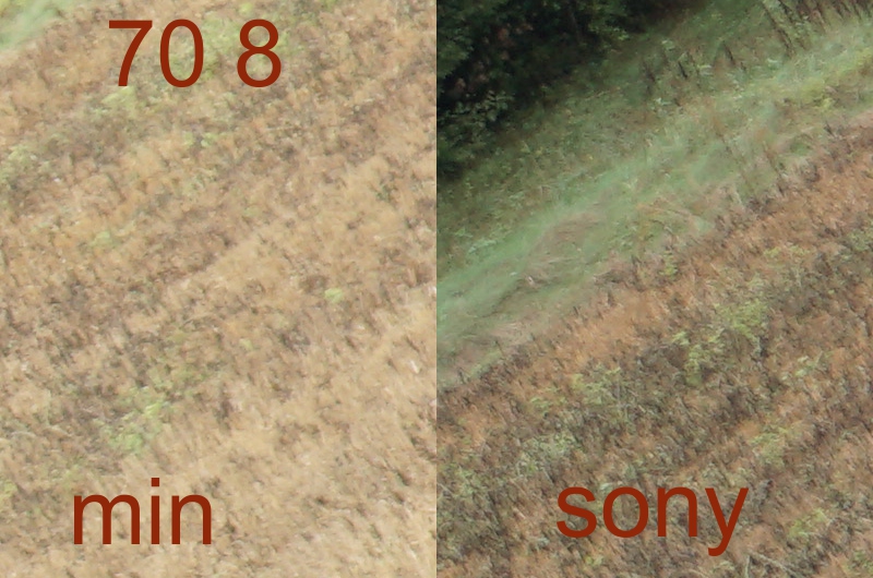 254643