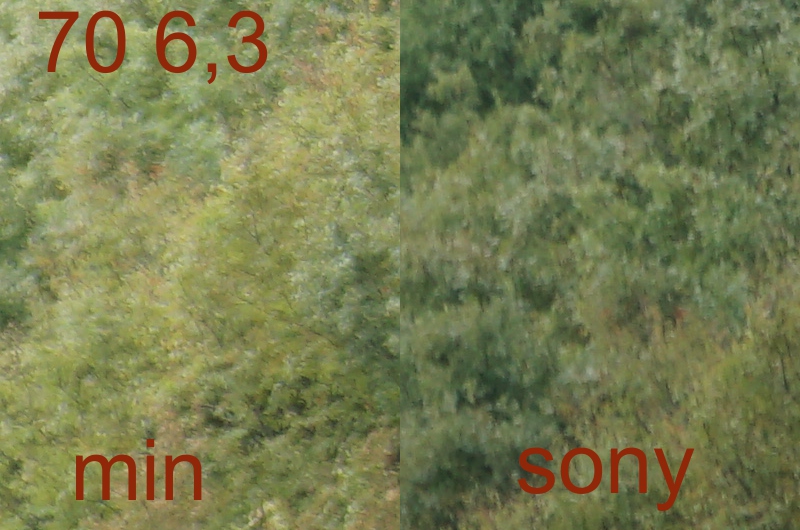 254645