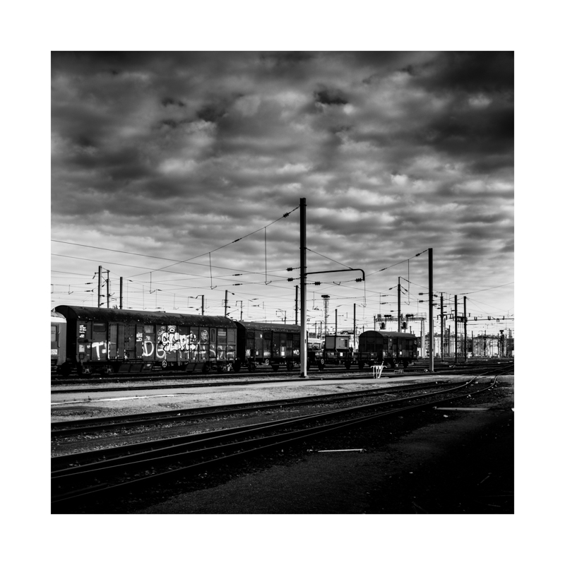263464