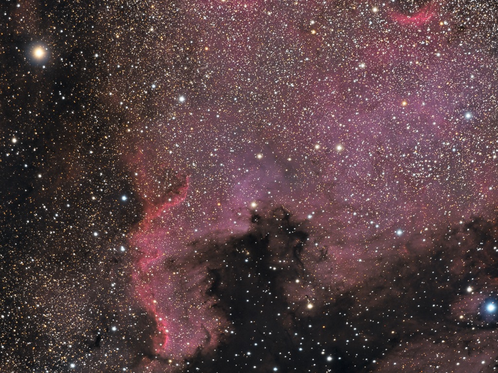 271821
