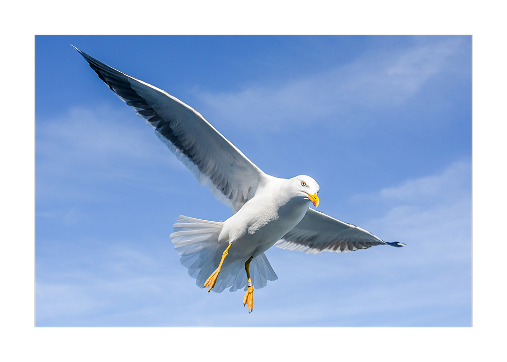 273979
