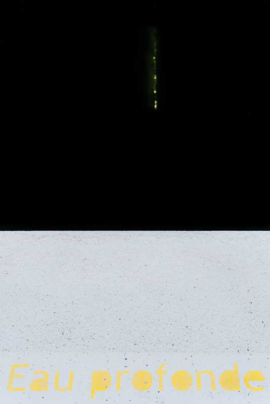274313
