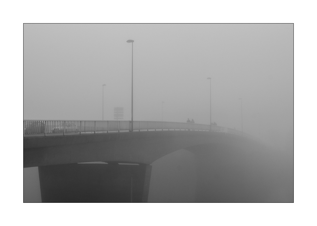 281036